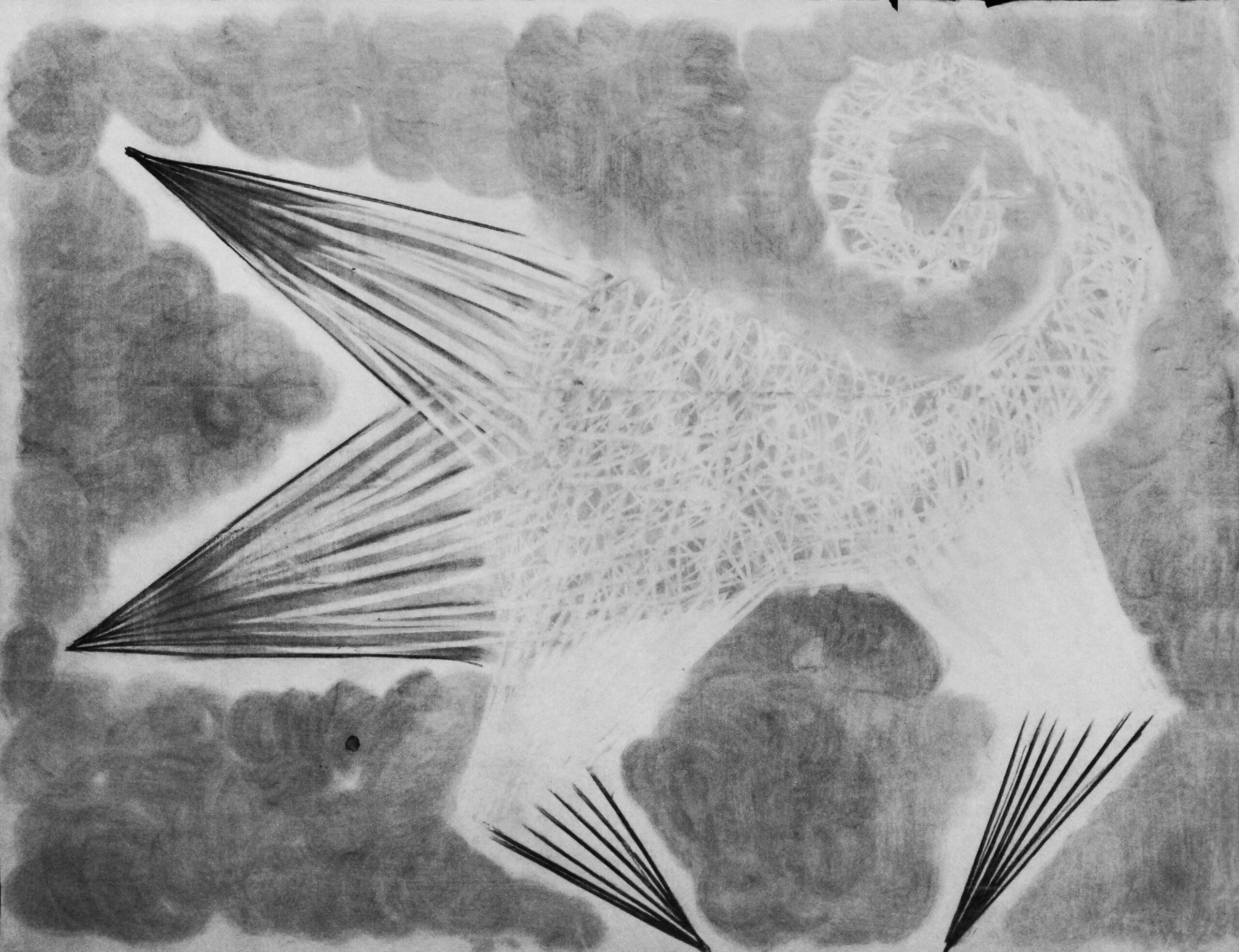 0123 - bez tytułu, węgiel-papier, 120 x 160 cm