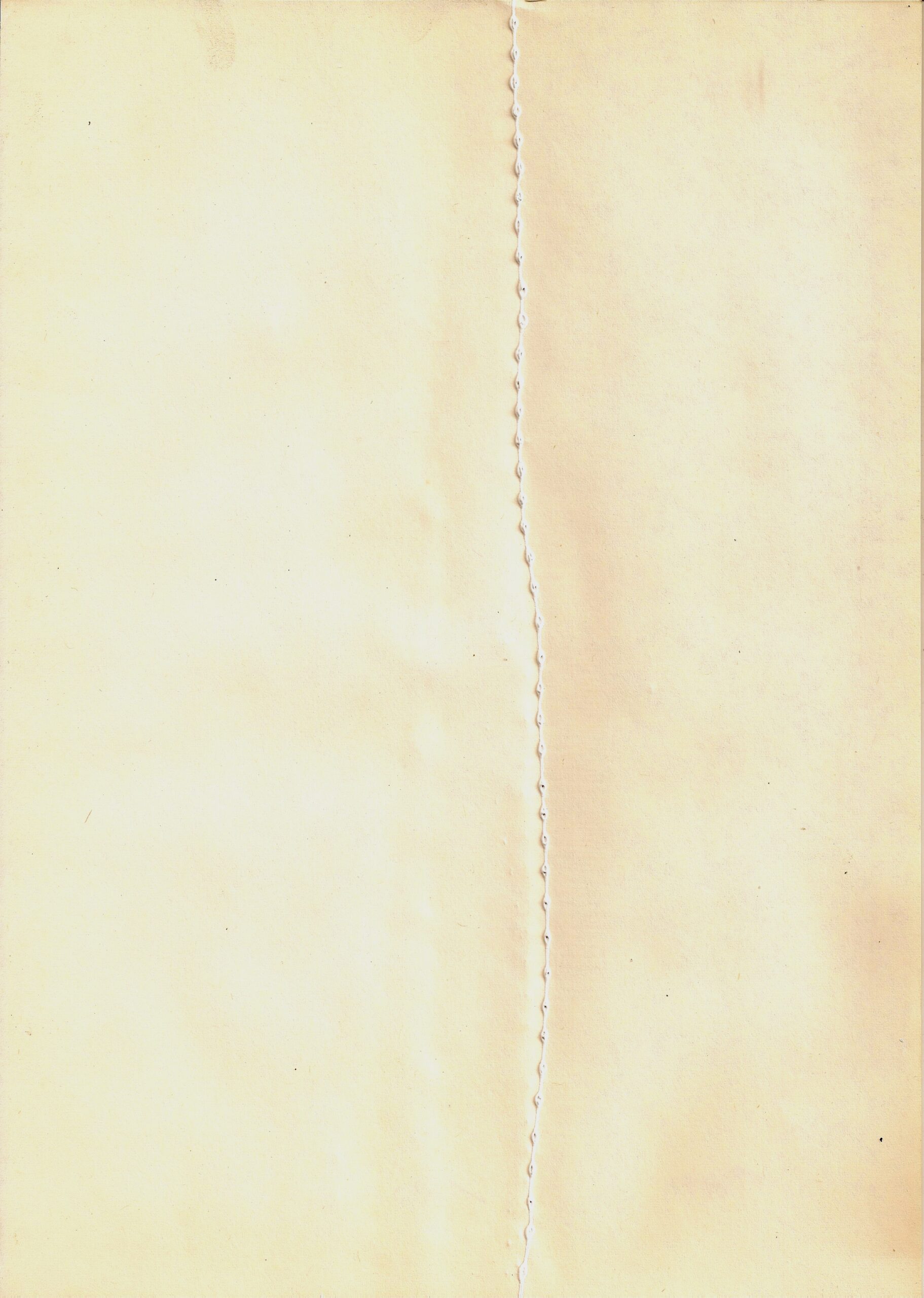 071 21,2x29,9 1980
